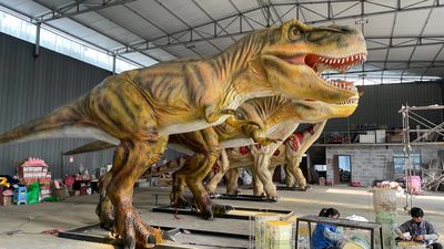 Trung Quốc Zigong Co-Creation Culture & Arts Co., Ltd. Hồ sơ công ty