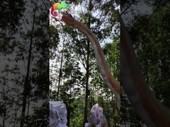 Sunproof 15M Giant Animatronic Dinosaur Jurassic Park Brachiosaurus Animatronic