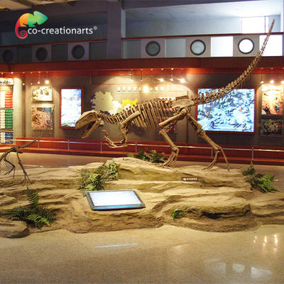 Bộ xương khủng long bằng nhựa chống nắng Gasosaurus Skull