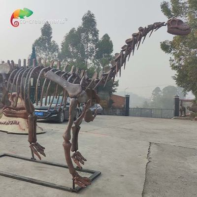 CE Công viên kỷ Jura Bản sao bộ xương khủng long Shunosaurus Skeleton kháng thời tiết