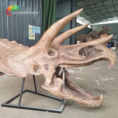 Chống thấm nước theo tiêu chuẩn ISO Bộ xương khủng long Replica Fossil Life Size Triceratops Skull