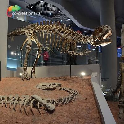 landscape decoration Outdoor Yangchuanosaurus Skeleton Dinosaur Replica Fossil