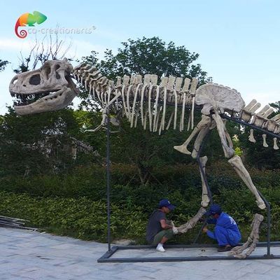 chiều dài 15m Bản sao khủng long chất lượng bảo tàng T Rex Skull chống thấm nước