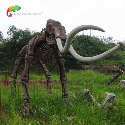 kháng thời tiết Bản sao kích thước thật Bộ xương động vật Mô hình voi mammuthus