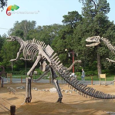Fiberglass Life Size Bản sao hộp sọ khủng long Hadrosaurus Skeleton chống lão hóa