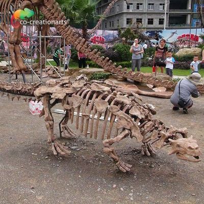 Trang trí công viên Bộ xương khủng long Bản sao Life Size Chống nắng