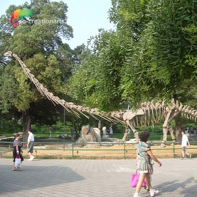 Mua Sunproof Life Size Mô Hình Khủng Long Skeleton Mamenchisaurus Skeleton 15m online manufacture
