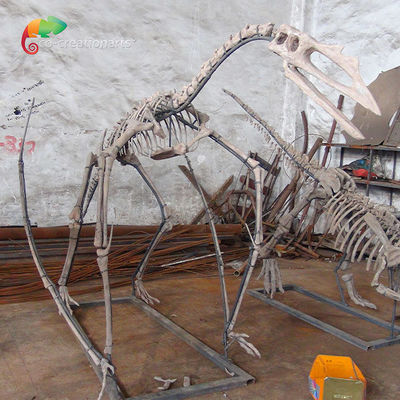 Triển lãm bảo tàng Bộ xương khủng long bằng nhựa Bộ xương Quetzalcoatlus Bộ xương có thể tùy chỉnh