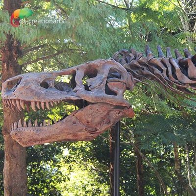 Bản sao T Rex Skeleton kháng thời tiết