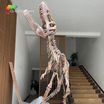 Bản sao bộ xương khủng long bằng sợi thủy tinh không thấm nước cho triển lãm bảo tàng