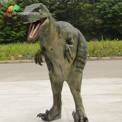 1.7m Animatronic Dinosaur Velociraptor Trang phục thực tế tạo ra những cảnh Jurassic ngoạn mục