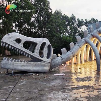 Giá tốt. Lối đi bộ xương khủng long hoạt hình ISO trực tuyến