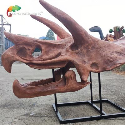 Giá tốt. Jurassic World Replica Triceratops Skeleton Sunproof For Museum trực tuyến