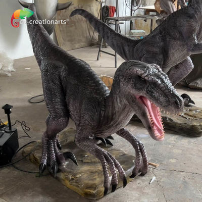 Giá tốt. Công viên giải trí kích thước cuộc sống Animatronic Dinosaurs Animatronic Velociraptor với chuyển động và âm thanh thực tế trực tuyến