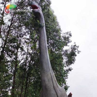 Tên