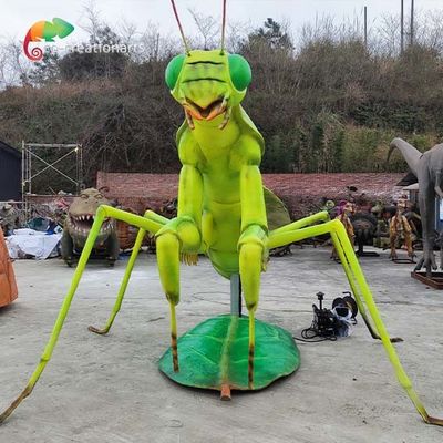 Tên