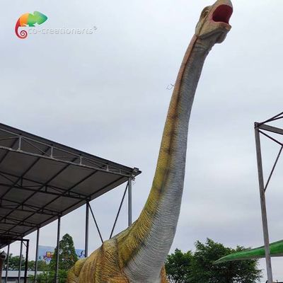 Tên