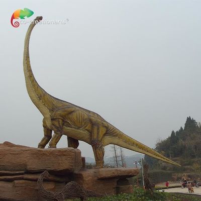 Tên