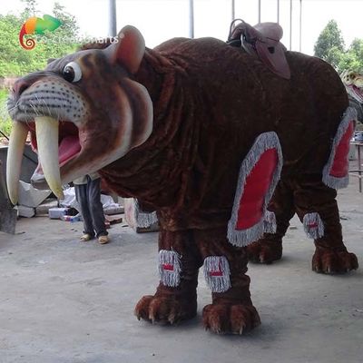 Tên