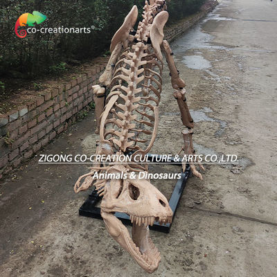 Tên